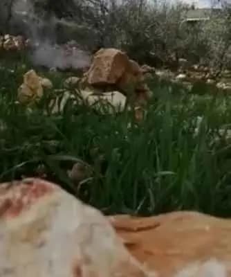 طفلٌ يعثُرُ على قُنبلة "غير منفَجرة"!