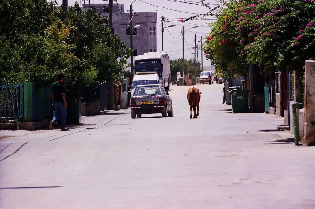 صورة 1