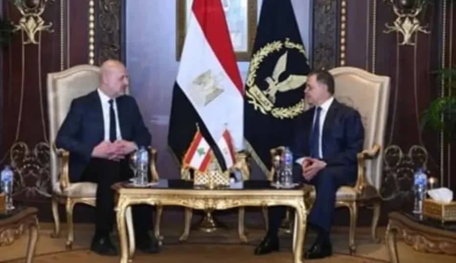 مولوي تابع زيارته للقاهرة واجتمع مع نظيره المصري