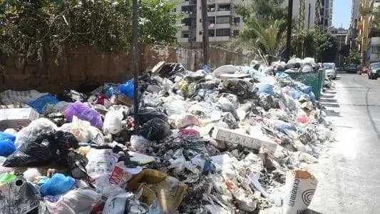 معالجة النفايات العضوية بالديدان... من جون إلى كلّ لبنان!