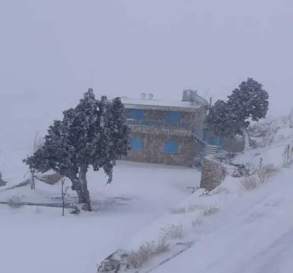 صورة 2