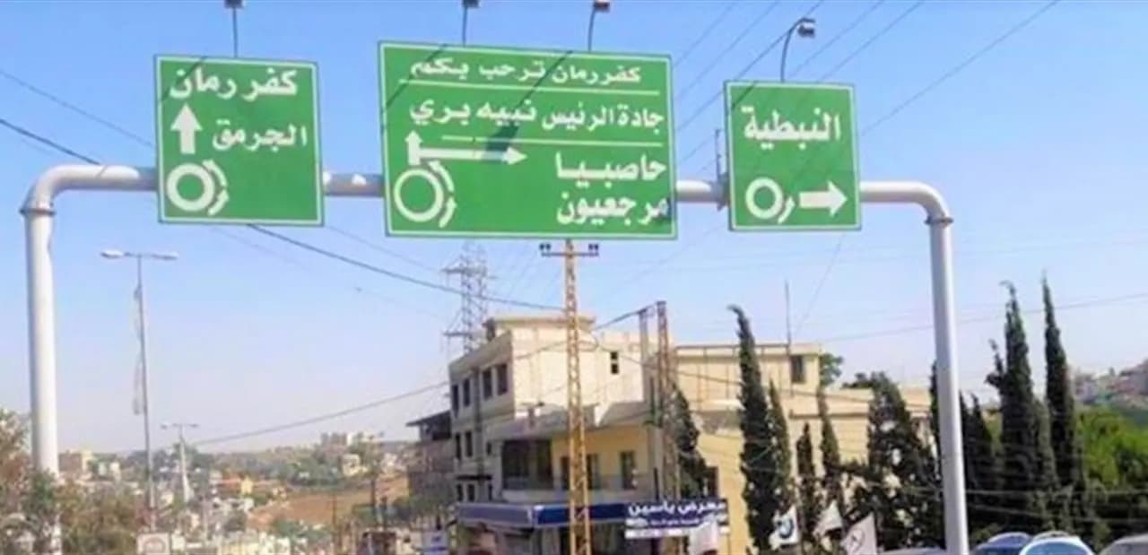 في النبطية .. الدواء الإيراني هو الحل!