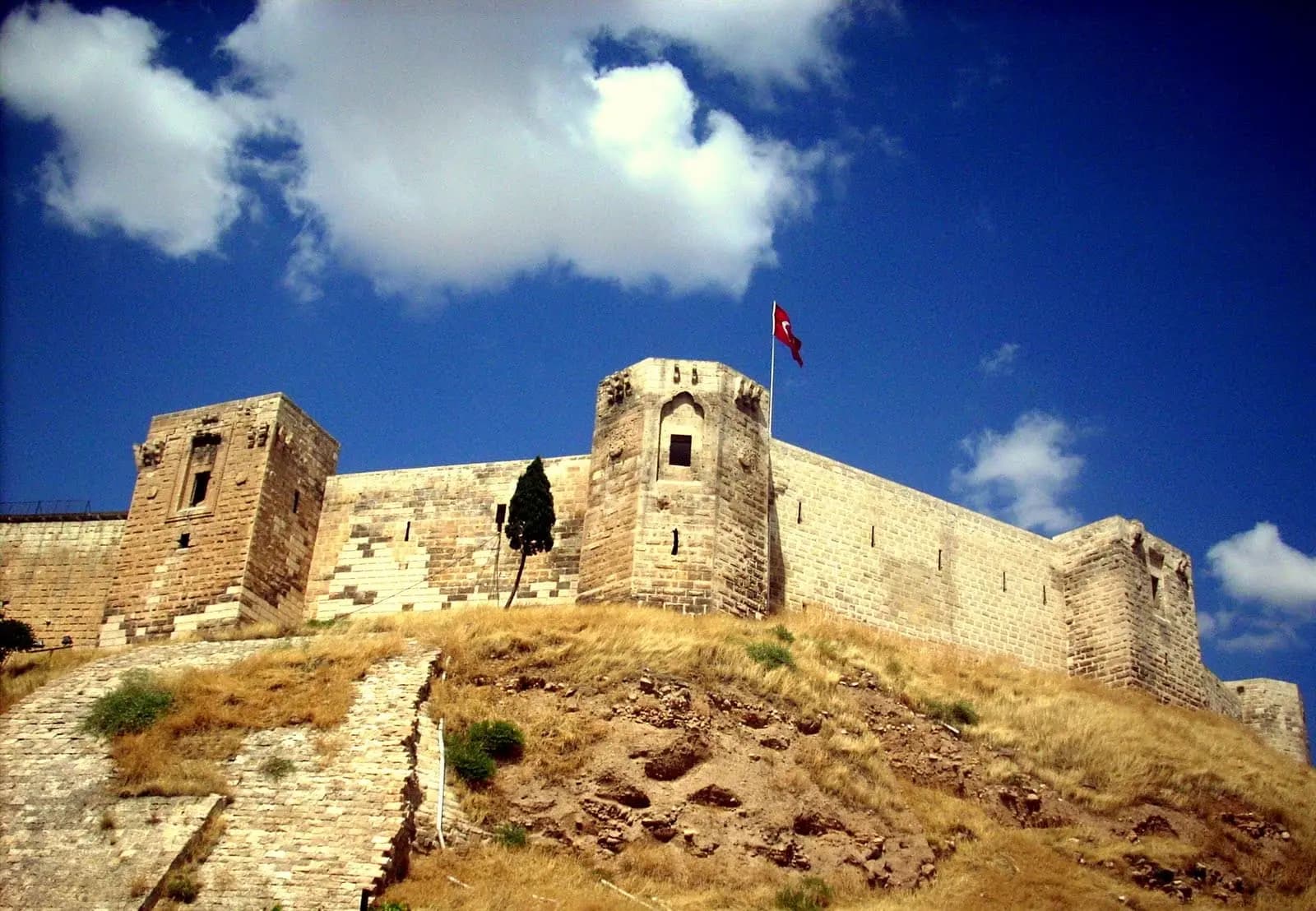 صورة 1