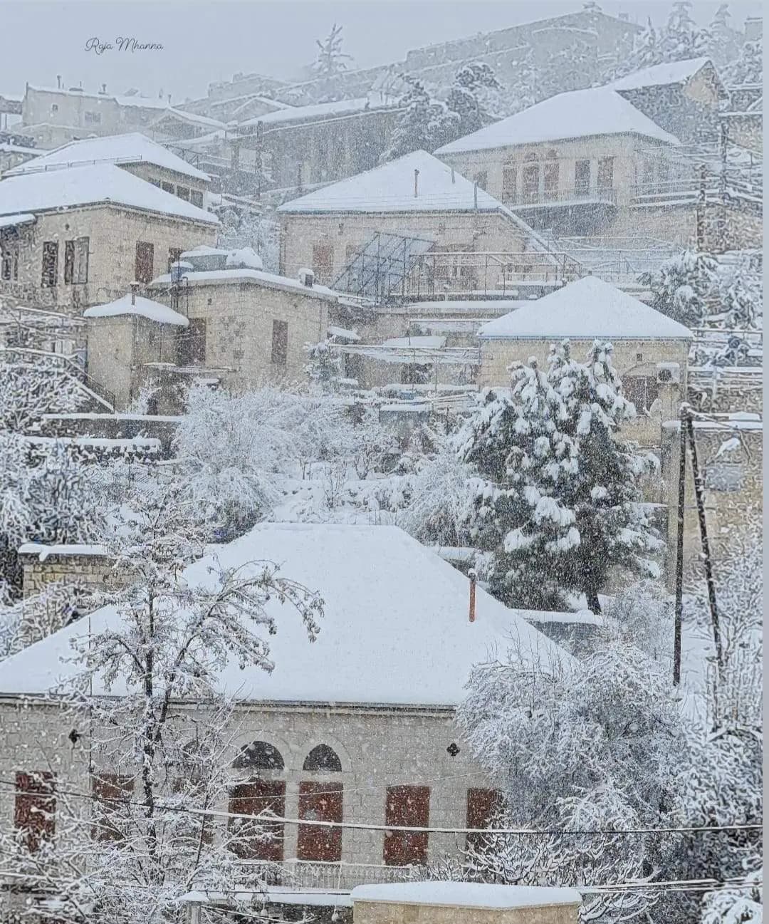 صورة 1