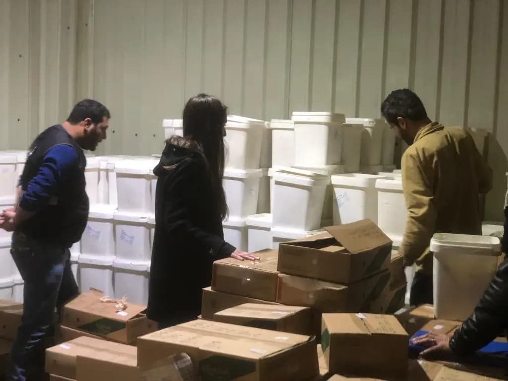 فضيحة في الجنوب.. الأجبان منتهية الصلاحية!