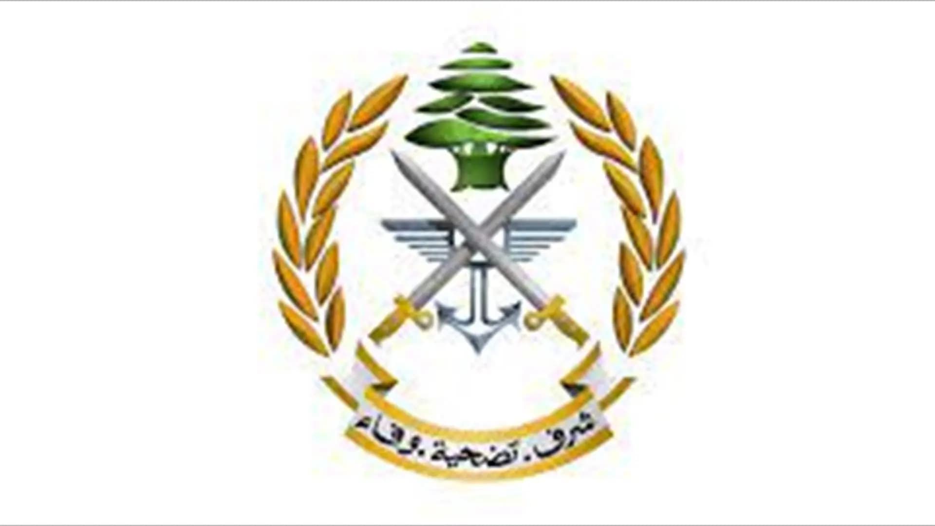 الجيش: العمل جارٍ لتوقيف خاطفي مخول