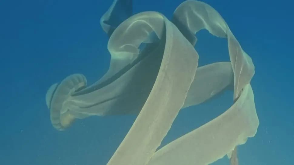 صورة 1