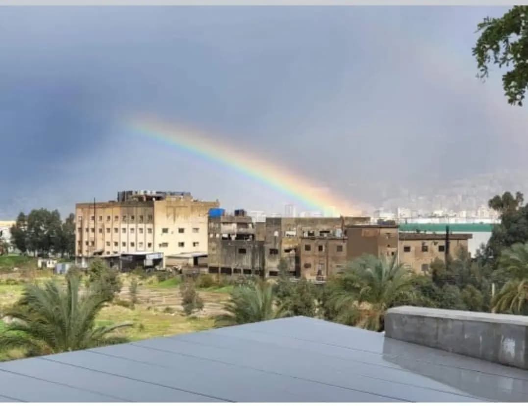 صورة 1