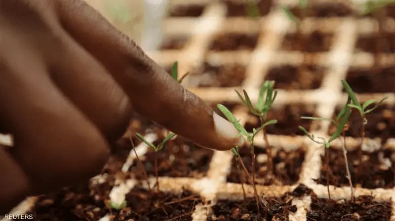 في التربة: إنزيم يحوّل الهواء إلى كهرباء