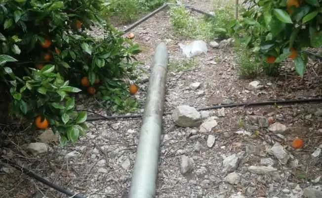 صورة 1