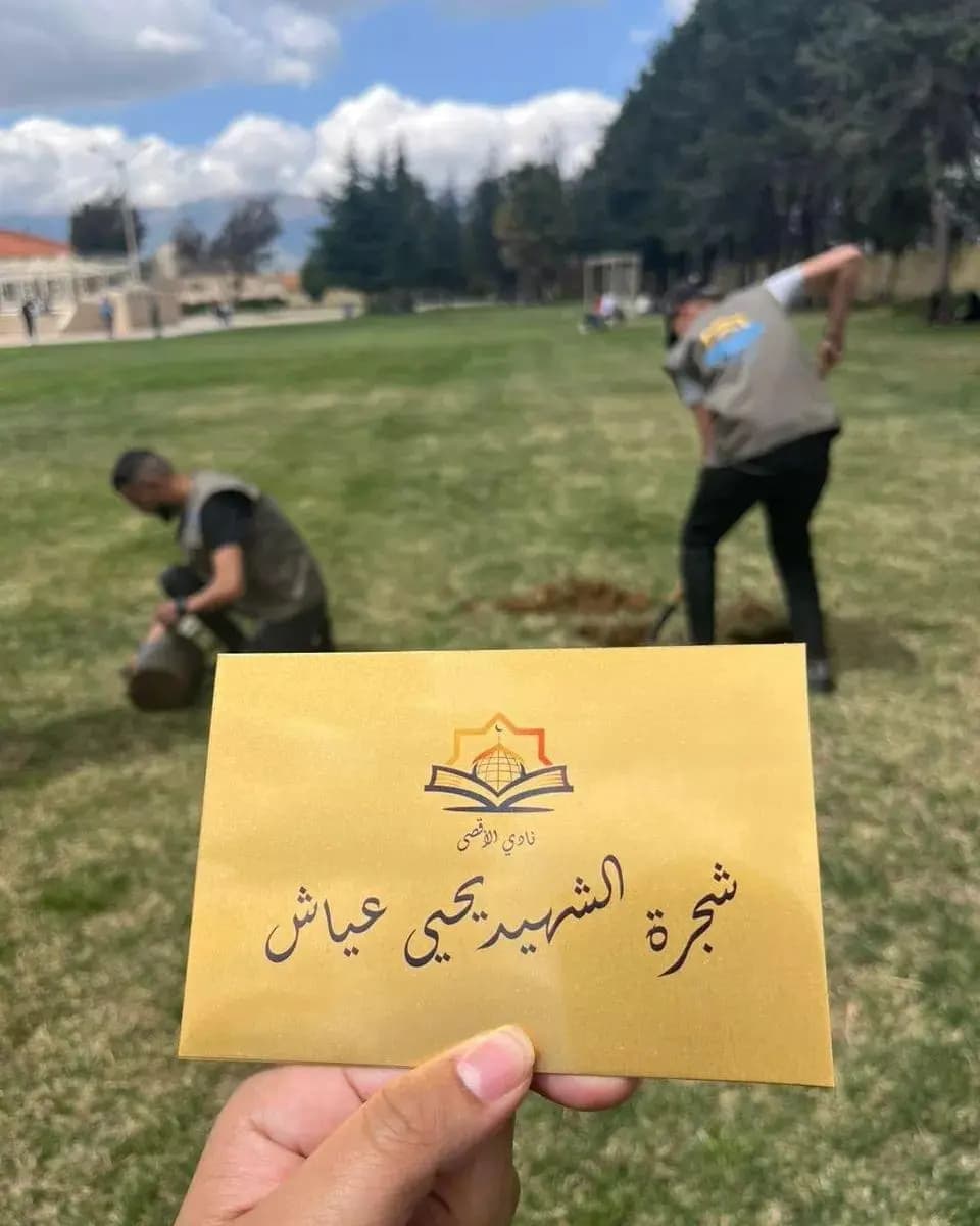 صورة 5