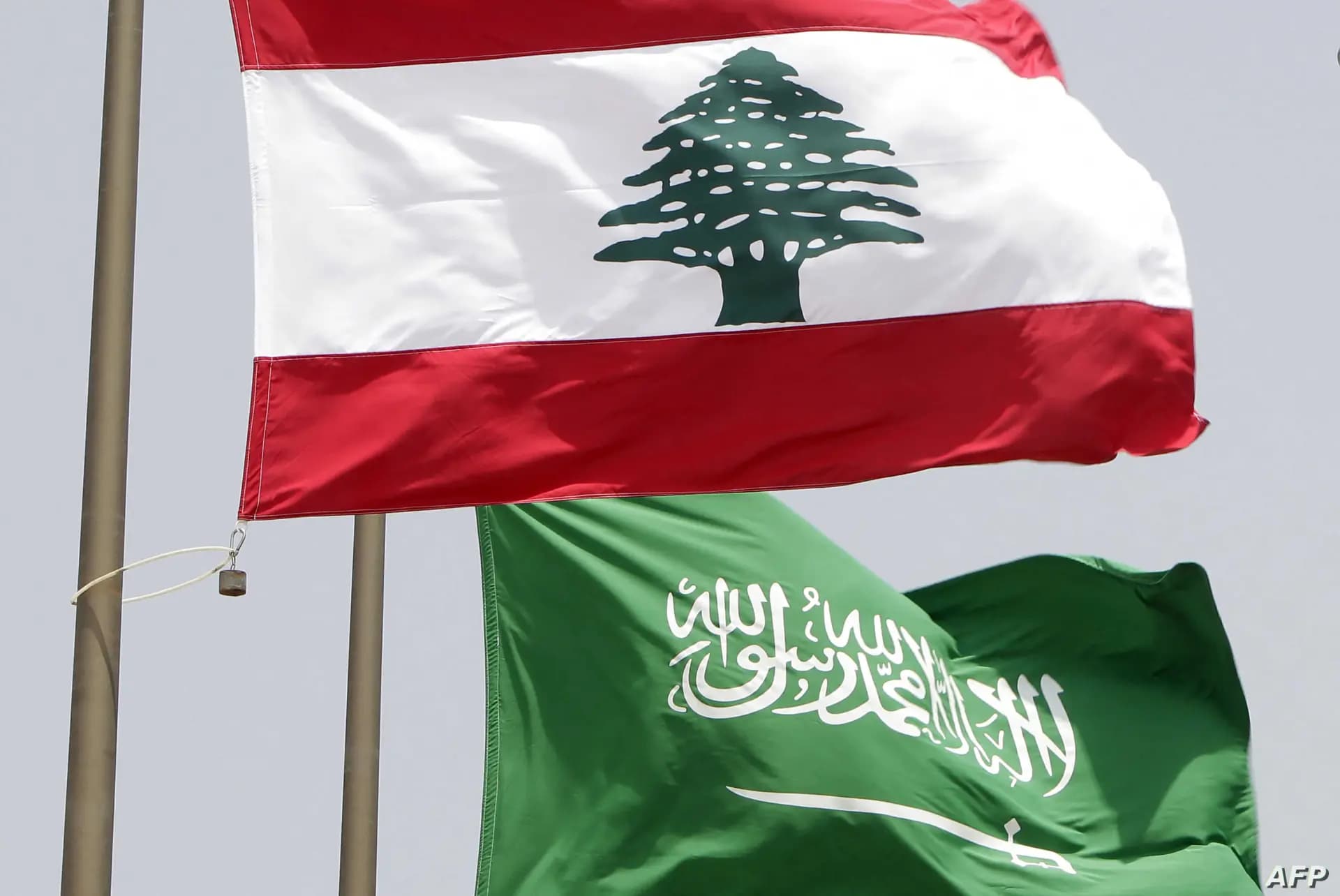 لماذا تُصرُّ السعوديّة على "رماديتها الرئاسيّة"؟