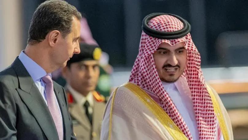 بالصور: الأسد في جدة