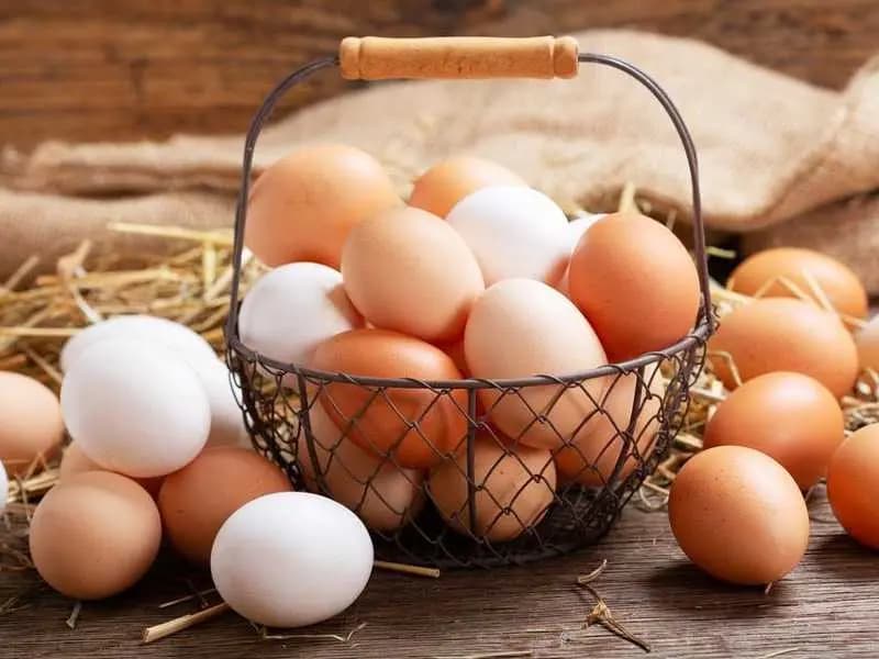 من هي أغلى دول العالم في سعر طبق البيض؟