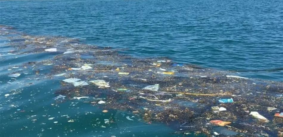 بحرنا ملوّث: هل نحن وأسماكنا في خطر؟