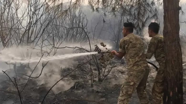 حريق كبير في خراج بلدة شدرا