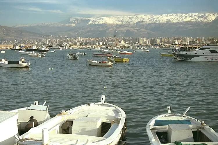 صورة 1