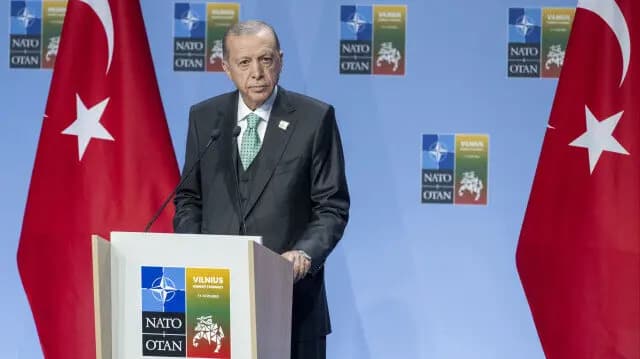 إردوغان وقمة فيلنيوس... مكاسب اقتصادية وأمنية وجيو-سياسية!