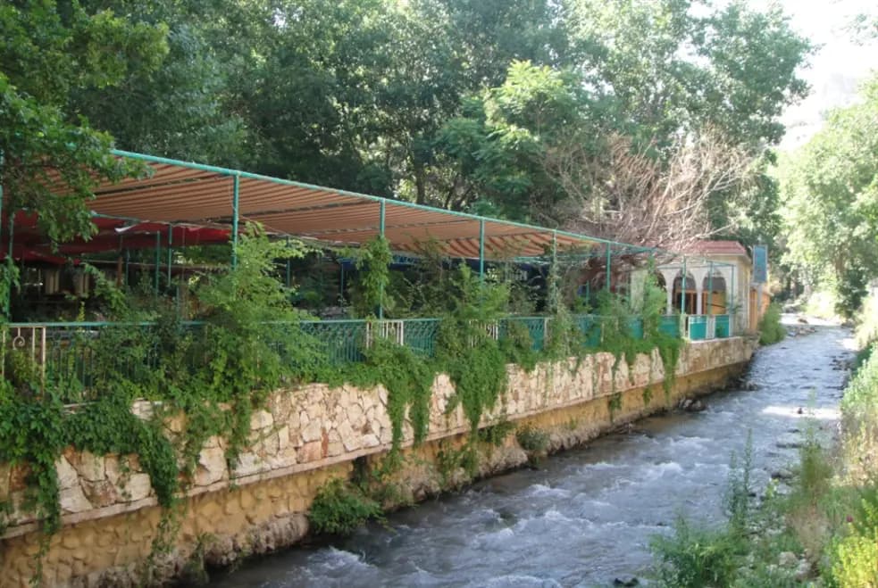 معلوماتٌ جديدةٌ حولَ تسمُّم المغتربين