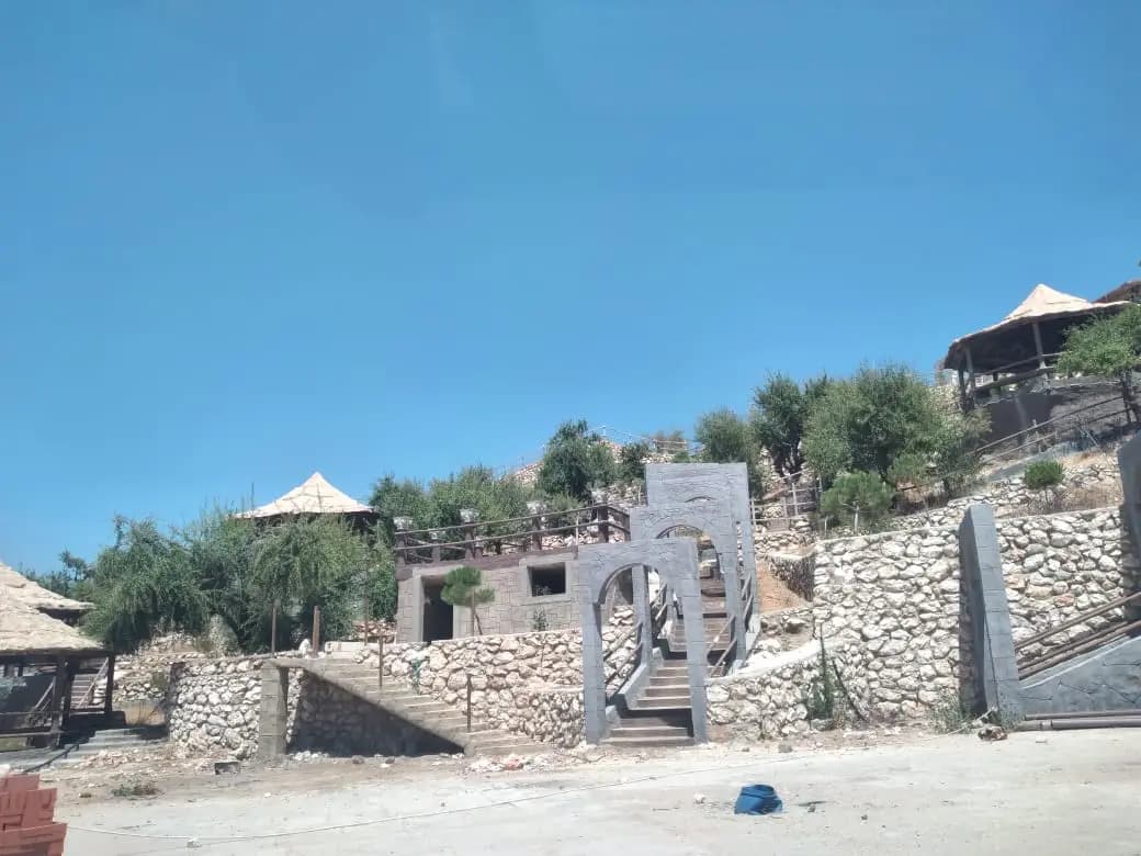 صورة 3