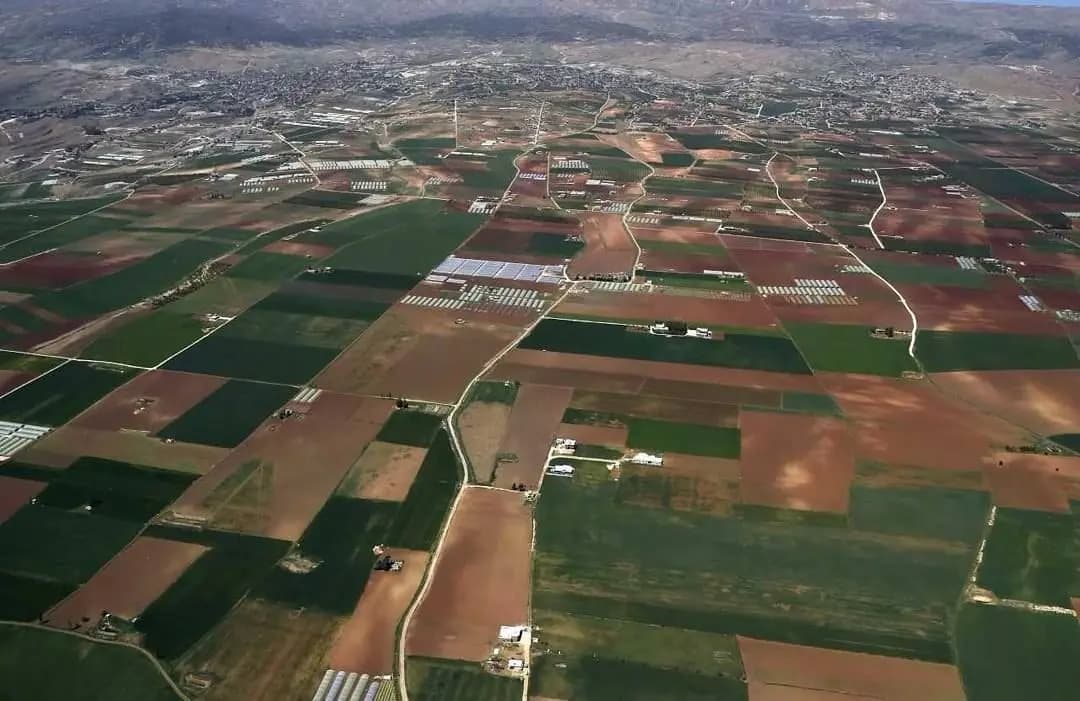 بعد موجة الحر... تداعيات كارثية على القطاع الزراعي