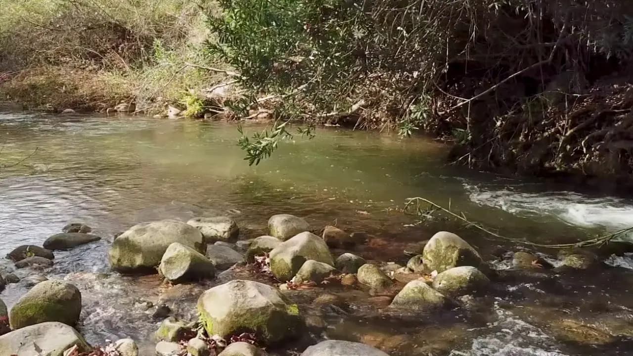 نداء من مزارعي الحاصباني.. إليكم التفاصيل