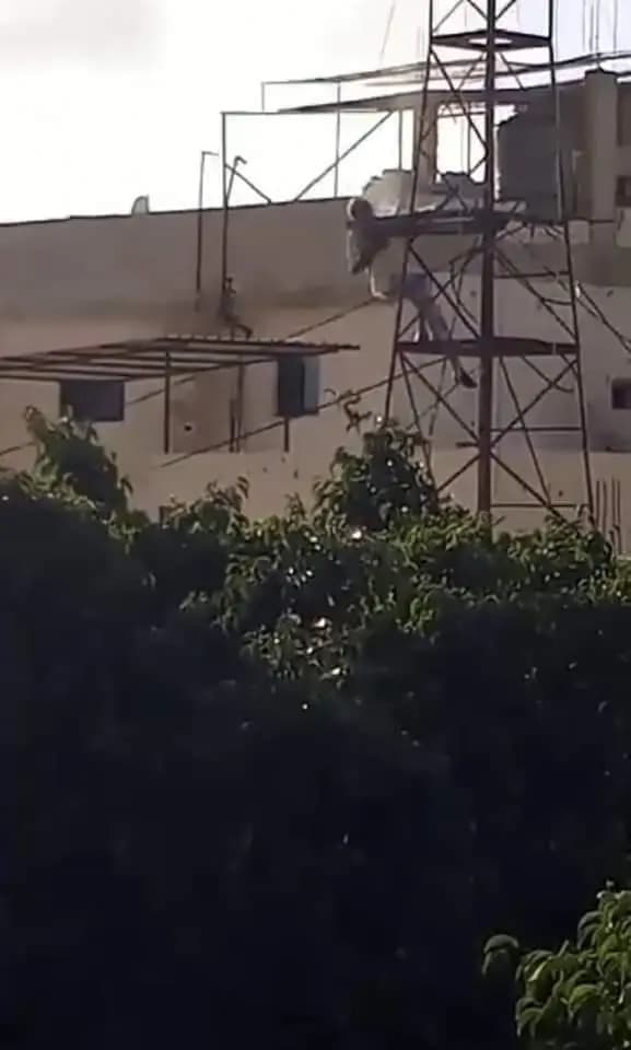 صورة 1