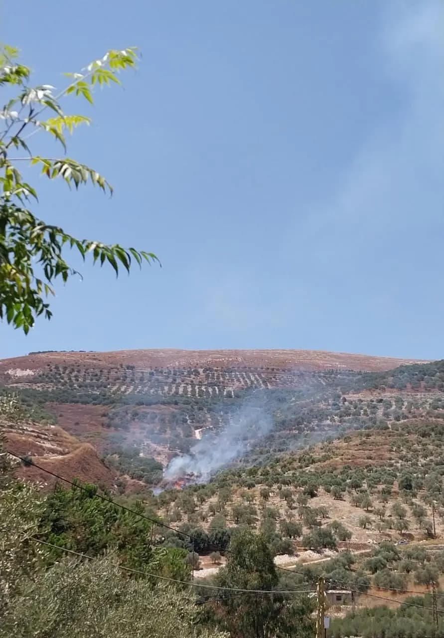 حريقٌ كبيرٌ في حاصبيا