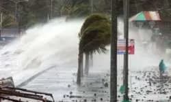 صورة 1