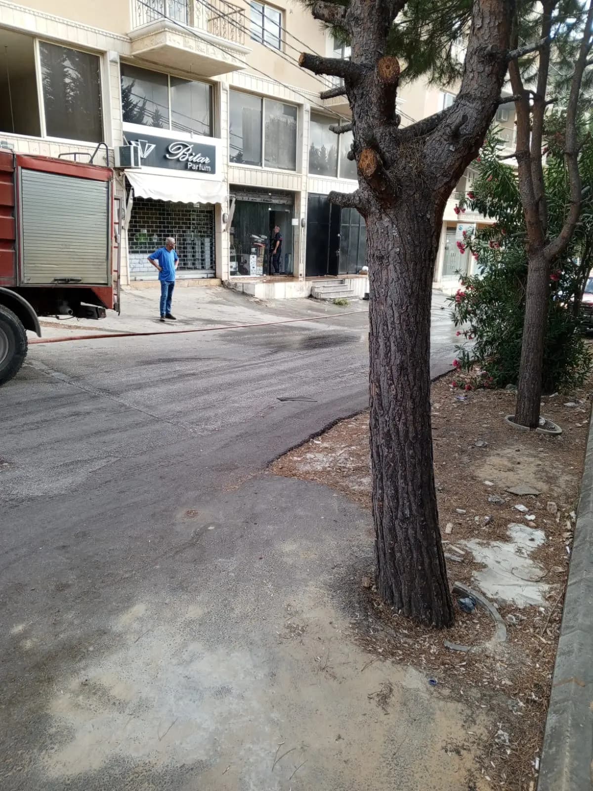 صورة 2