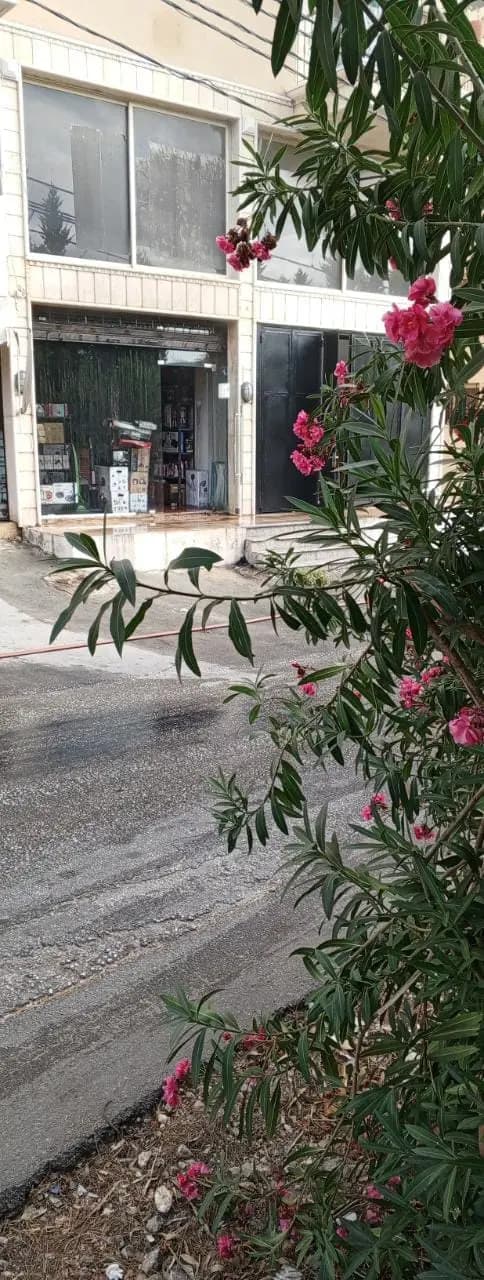 صورة 3