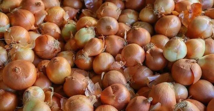 البصل السوري يغزو لبنان بطرق غير شرعية