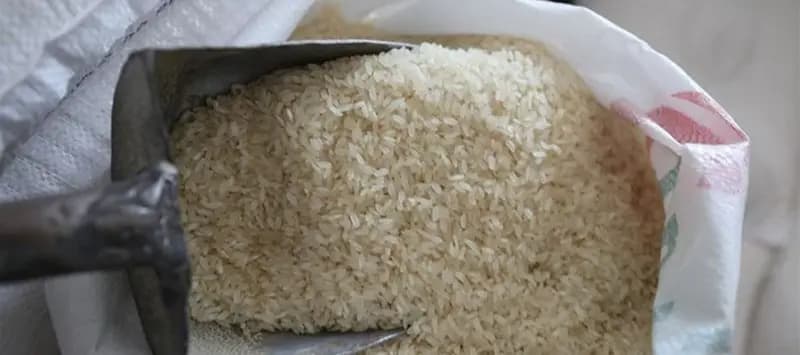 ضبط أرز يحتوي على "المبيدات" في البقاع