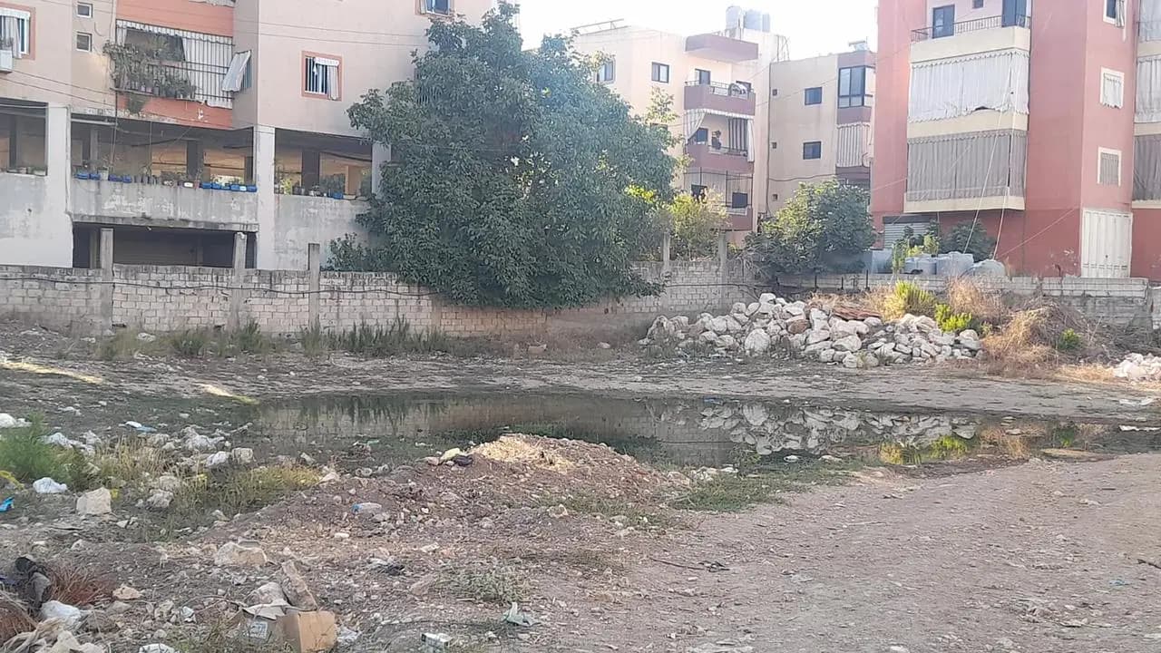 صورة 2