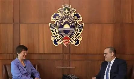 البيسري بحث وفرونتسكا التنسيق مع الأمم المتحدة