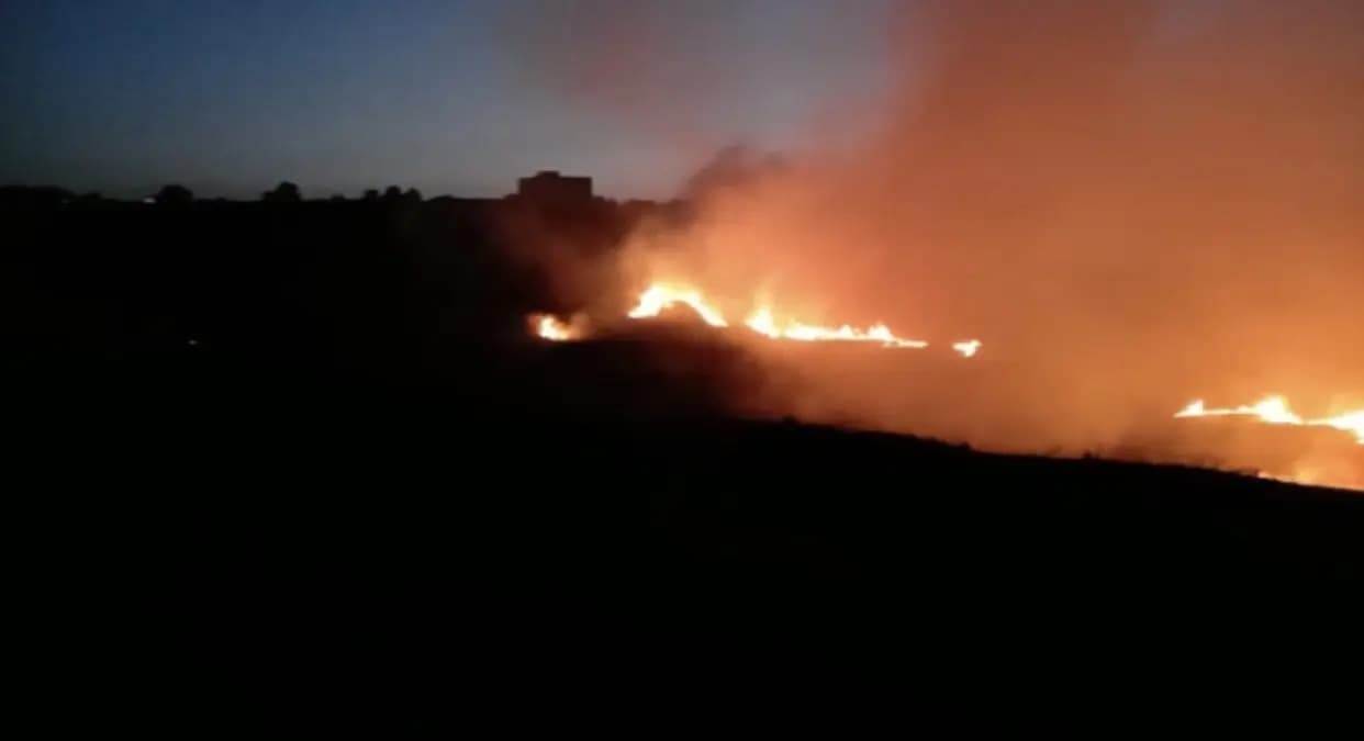 حريقٌ في أحراج طريق دير المخلَص – بسري