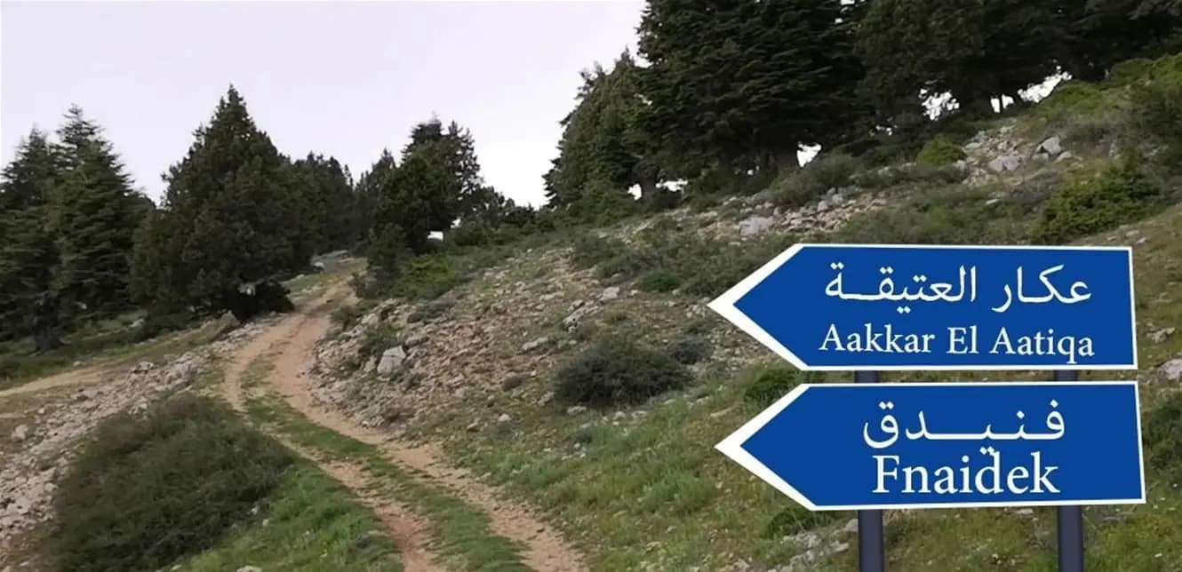 بلدية فنيدق: لحماية الغابات من القطع الجائر للأشجار المعمرة