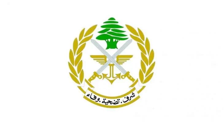 الجيش: توقيف أشخاص عدة بجرم سرقة سيارات وحيازة أسلحة وتعاطي مخدرات