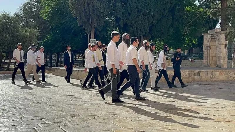 مَن يُقنعُ المستوطنينَ بالبقاء في فلسطين؟