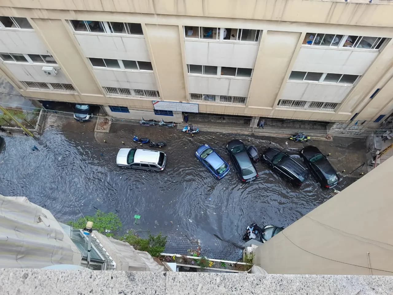 صورة 1