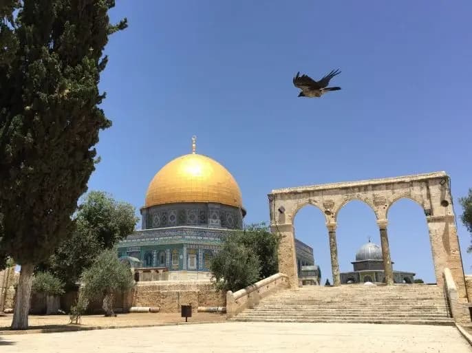 "إرباكات" طوفان الأقصى والأسئلة عن أفق ما بعد الحرب
