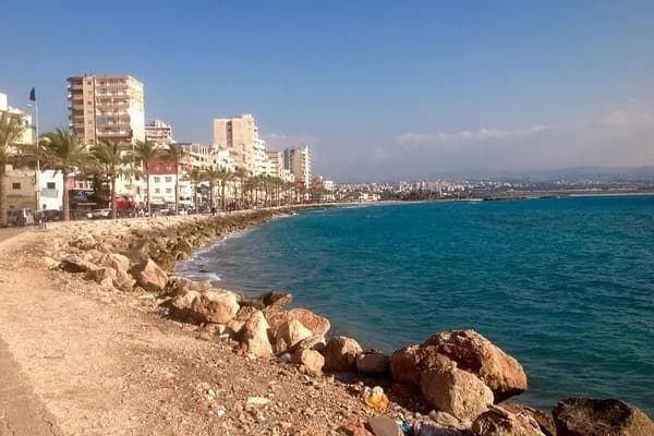 "حادثة غريبة".. هذا ما حصل في أحد مطاعم صور