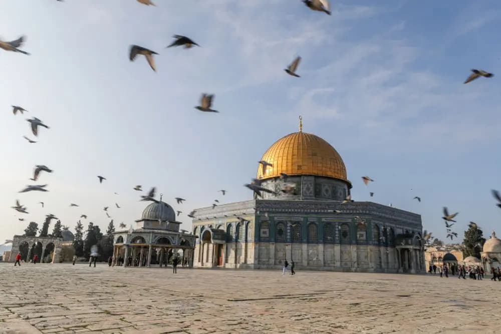 تحرير 6 آلاف أسير فلسطيني.. هذا ما اشترطته حماس