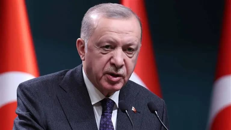 أردوغان: لا يمكن ترك مستقبل العالم تحت رحمة 5 دول