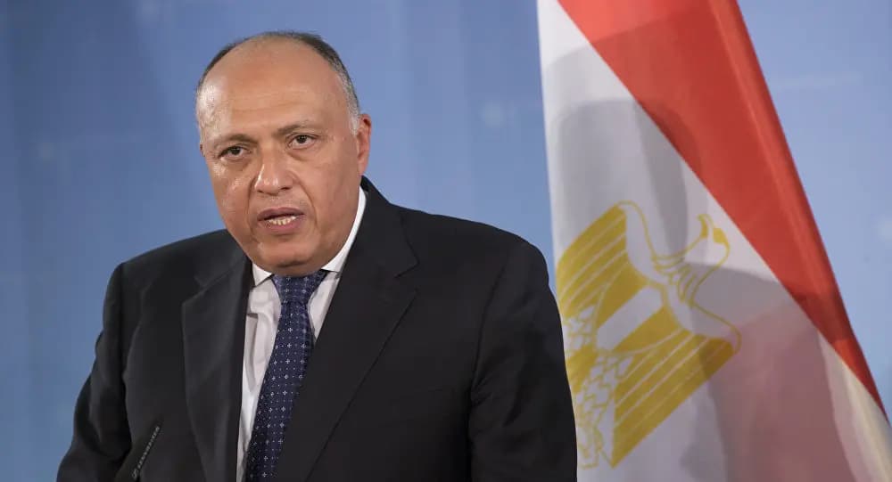 "جريـ.ـمة حـ.ـرب مكتملة الأركان".. شكري: تهجير الفلسـ.ـطينيين أمر مرفوض