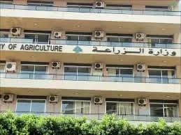 تعميمٌ من "الزراعة" للحصول على بذور القمح الطري