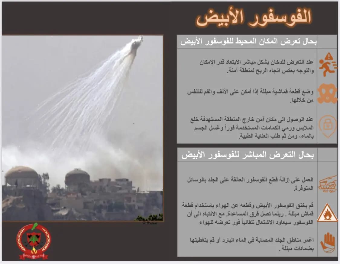 صورة 2