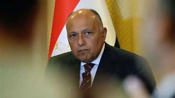 هذا ما أكّده شكري لنظيره الأمريكي