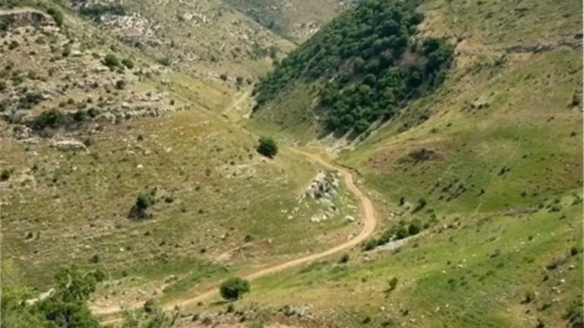 جنوبًا.. إصابة عامل برصاص إسرائيلي
