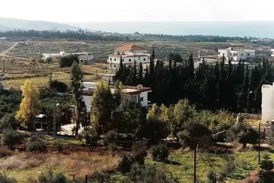 ماذا حصل عند مفترق القليلة؟